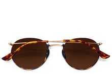 Tangle Free Aston - Amber Tortoise Polarized